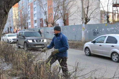 Сезонные работы по обрезке деревьев на улицах Минска
