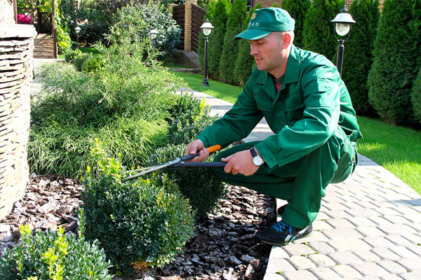 Уход за газонами и зелёными насаждениями